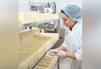 Молочные продукты Шымкента готовятся к экспорту в ОАЭ и Узбекистан