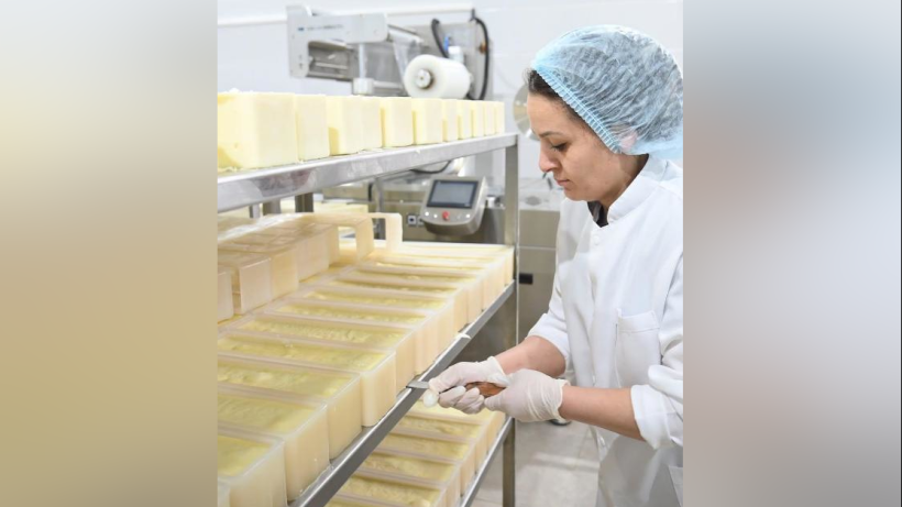  © акимат Шымкента 