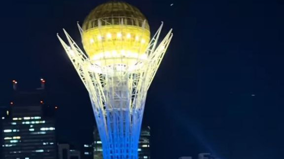  Видеодан кадр 