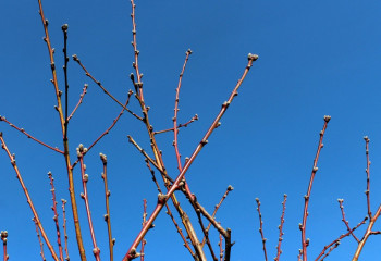 3 сәуірге арналған ауа райы болжамы