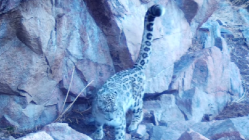  instagram.com/ile_alatau_nationalpark 