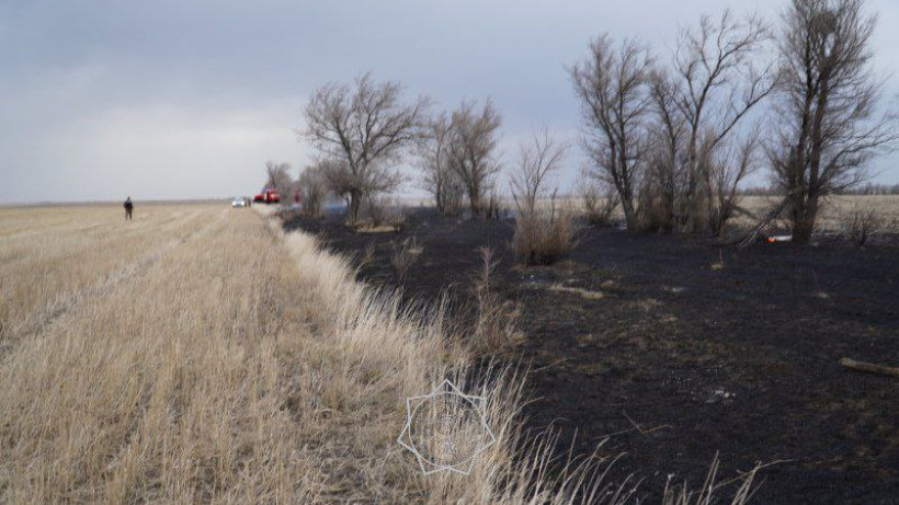  ТЖМ баспасөз қызметі 