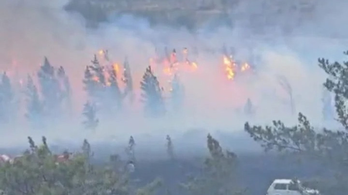  Бейнежазбадан скриншот 