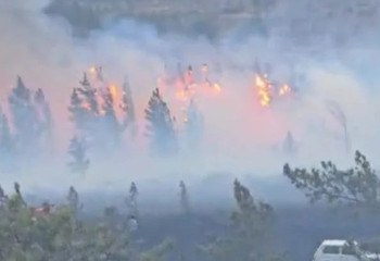 Баянауыл  ұлттық паркінде алапат өрт шықты