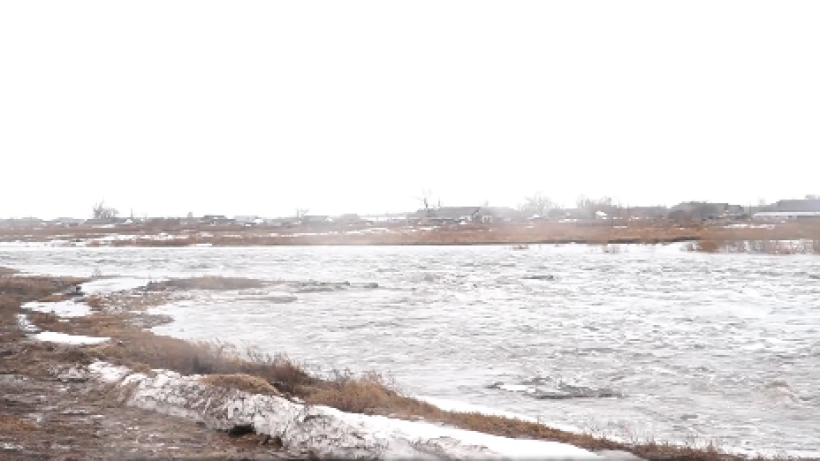  скриншот видео 