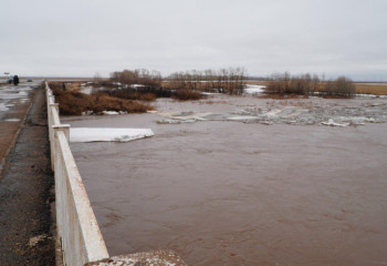 Ақмола облысында су тасқыны қаупі бар аумақтар бақылауға алынды