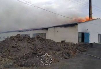 Қарағанды облысында құс  фабрикасынан өрт шықты