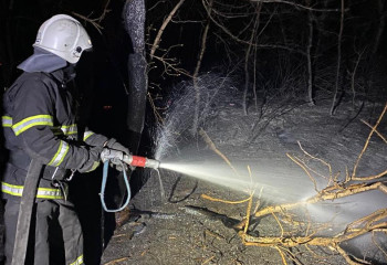 Пожар в Жасыбайском лесничестве: спасатели МЧС ликвидировали степное возгорание в горной местности