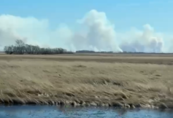 Қостанай облысындағы дала өрті сөндірілді