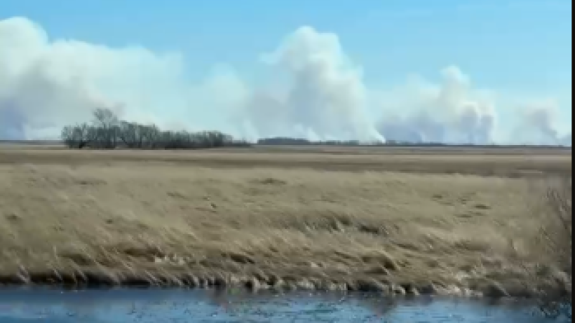  видеодан скрин 