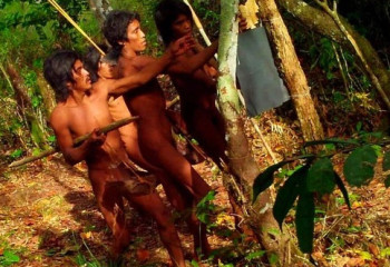 Таинственное племя массако: как изоляция и запрет на контакт помогают выживать коренным народам Амазонии
