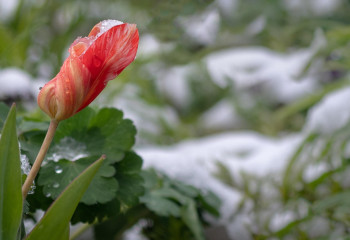 Елімізде ауа райы қайта салқындайды