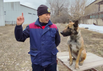 «Не ходите умирать в горы». Кинологи и их четвероногие напарники дают советы по безопасным походам