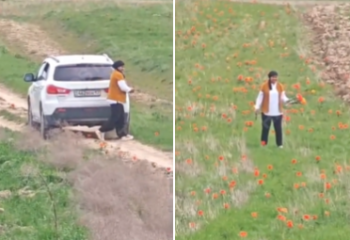 Түркістан облысында қызғалдақ терген әйел 12 млн теңге айыппұл төлеуі мүмкін