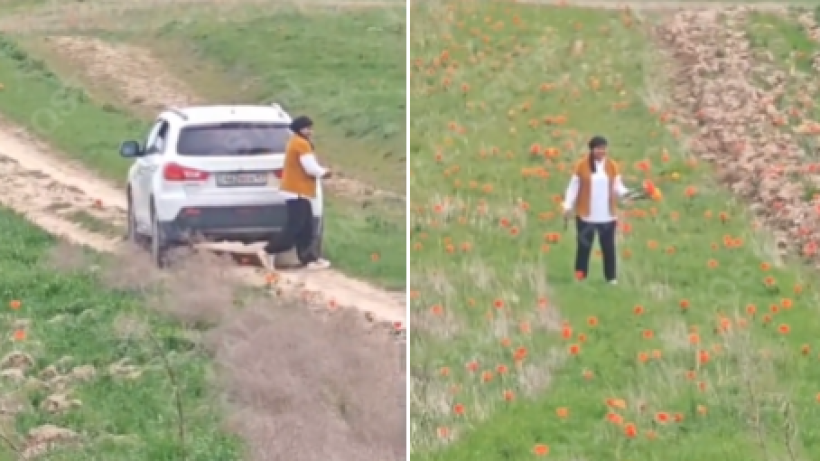  t.me/halyqstan/10694 