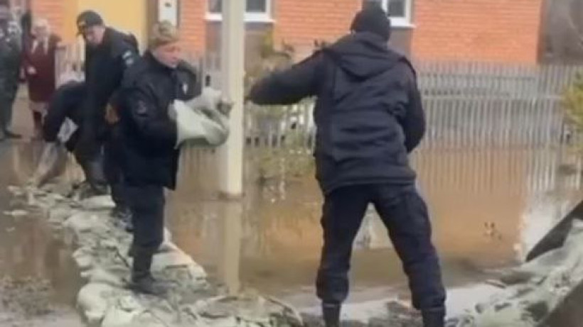  Видеодан кадр 