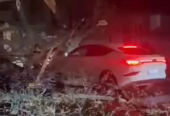 Алматыда қатты жел ағаштарды құлатып, шатырларды ұшып әкетті