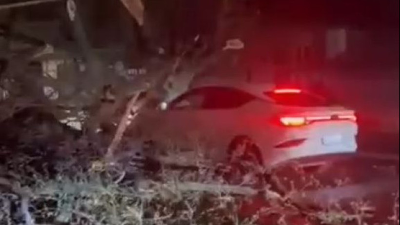  Видеодан кадр 