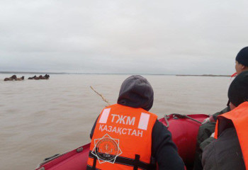 В Акмолинской области спасатели МЧС вызволили из водной ловушки 9 лошадей