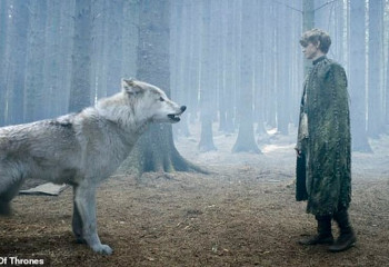 Ученые из США воскресили вымершего лютоволка