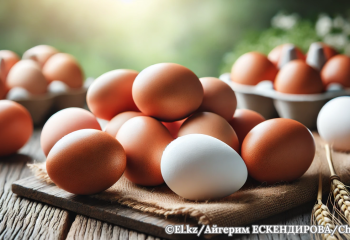 Казахстан ввел полугодовой запрет на импорт свежих яиц