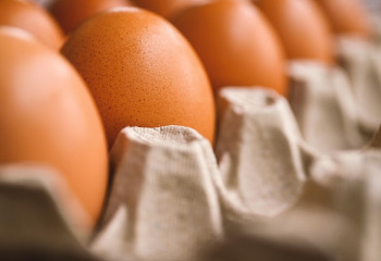 Қазақстан аумағына жұмыртқа әкелуге уақытша тыйым салынды