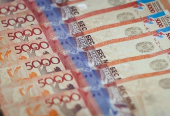 Елімізде кімдер МӘСҚ-тан төлем алды