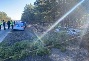 Абай облысында жол апатынан жүргізуші қайтыс болды