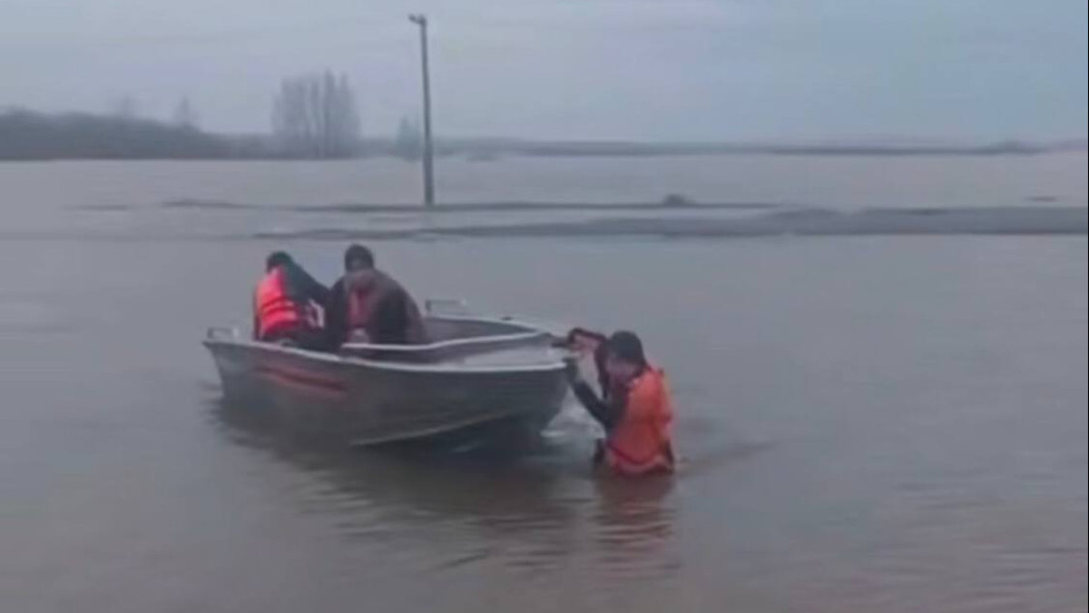  Бейнежазбадан скриншот 