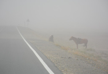 Шаңды дауыл, найзағай: 11 сәуірге арналған ауа райы болжамы