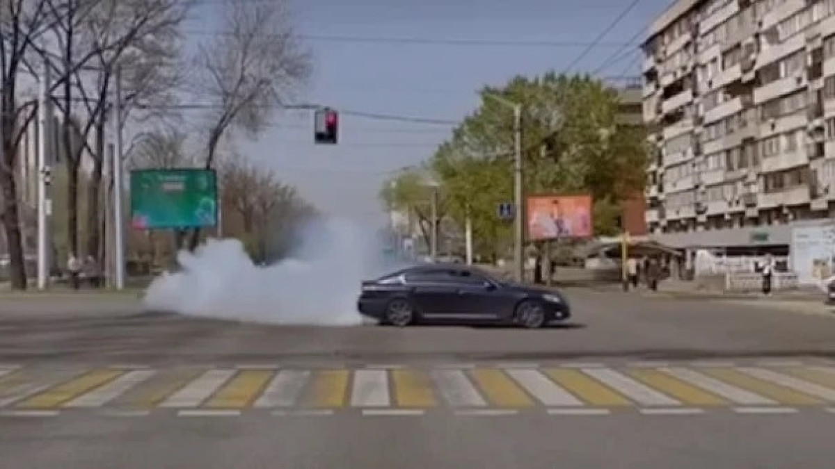  видеодан кадр 