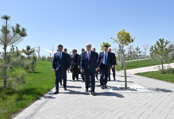 Президент посадил дерево в парке Shymkent City