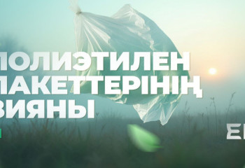 #1 ЭКОlife |  Полиэтилен пакеттерінің зияны | Қоршаған ортаға әсері және шешу жолдары