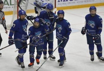 Президент вмешался в ситуацию с детским хоккеем: «Барыс» обеспечит участие юных игроков в первенстве России