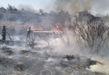 В Семея пожарные спасли дачный массив от огня