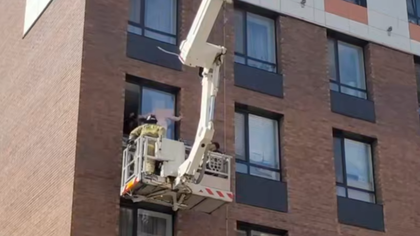  Кадр из видео 