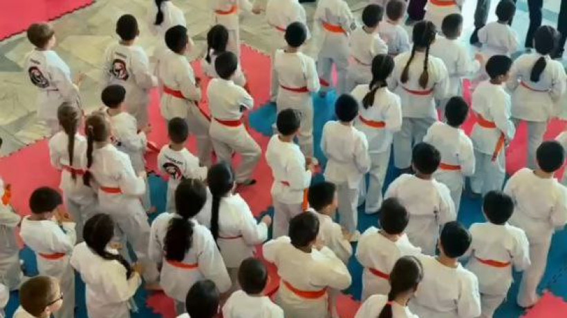  Видеодан кадр 