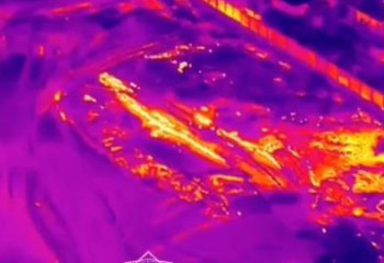 Абай облысында күнбағыс өртін сөндіру жұмыстары жалғасып жатыр