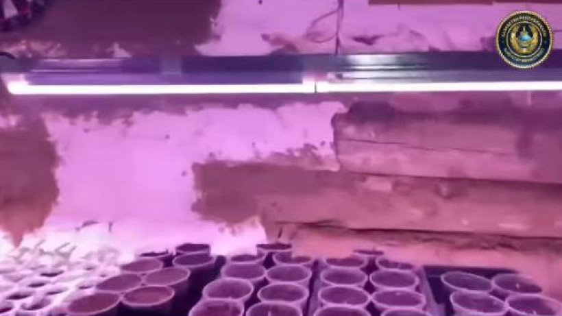  Видеодан кадр 