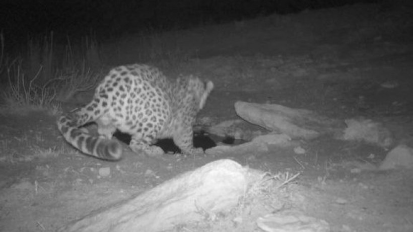  instagram.com/qazaqormany 