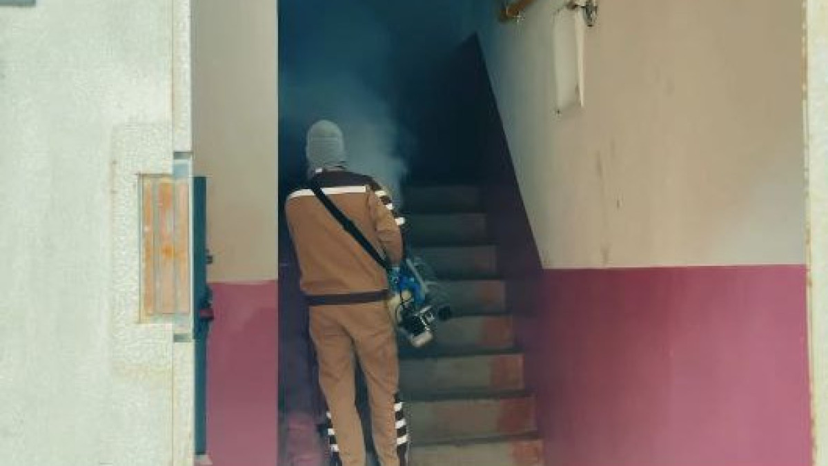  Видеодан кадр 