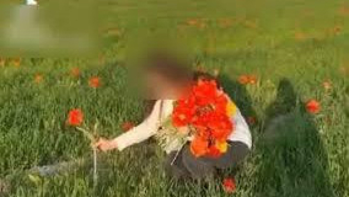  видеодан алынған кадр 