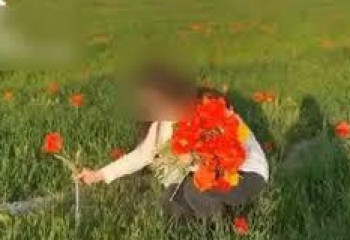 12 шоқ гүл үшін 12 миллион айыппұл арқалау қаншалықты әділетті? Министр жауап берді