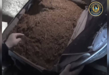 У жителя Прииртышья изъяли 20 кг марихуаны: хранил в сарае мешками и чемоданом