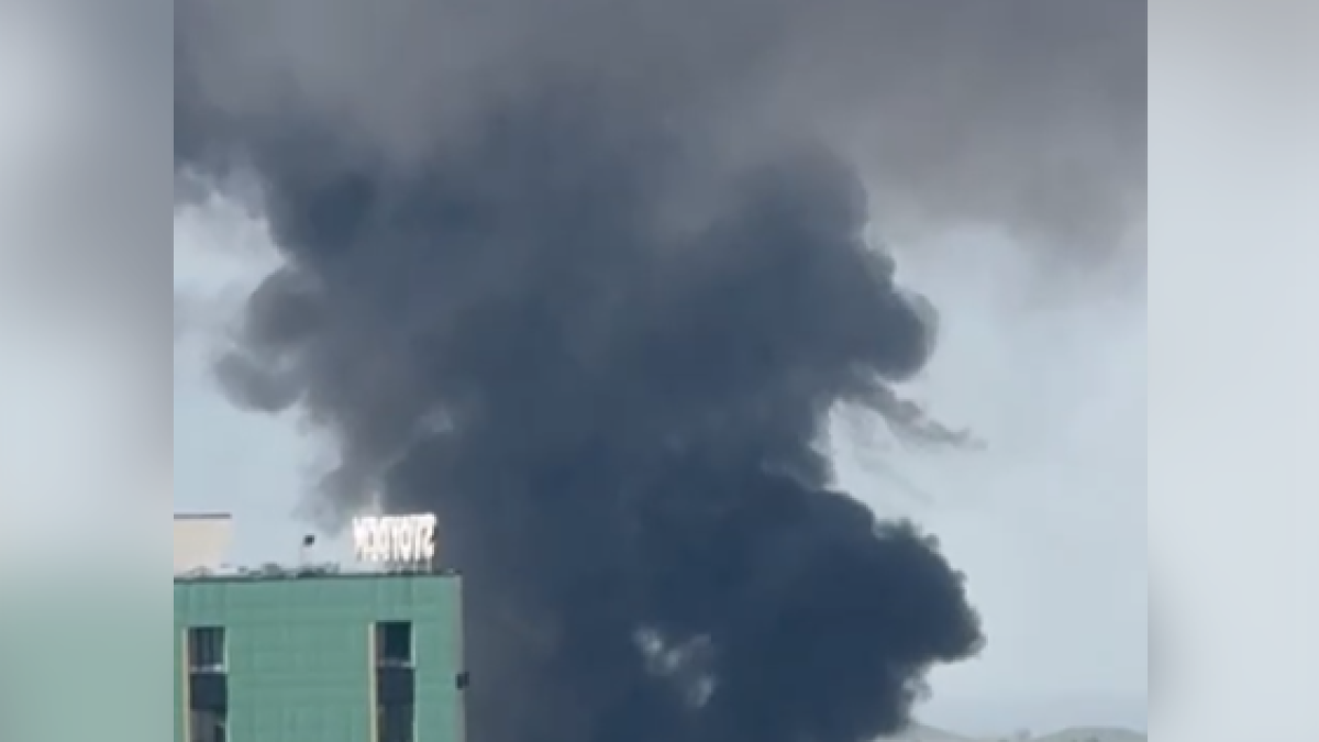  видеодан алынған кадр 