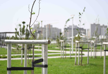 Экоакция «Таза Қазақстан»  получила широкий отклик у населения: собраны тонны мусора и высажены миллионы деревьев