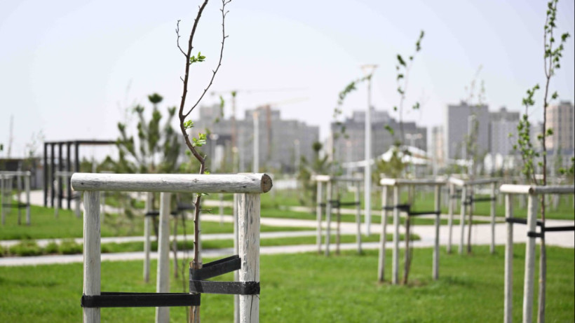  © Пресс-служба Акорды 