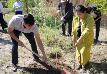 Қызылордада студенттер экологиялық жобаларға волонтер ретінде қатысып жүр