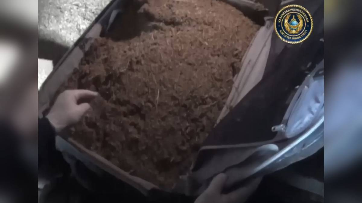  Скриншот видео 