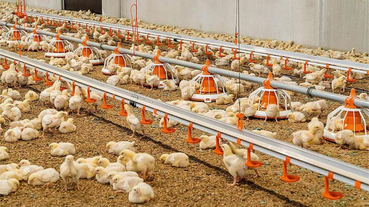  © акимат Туркестанской области 